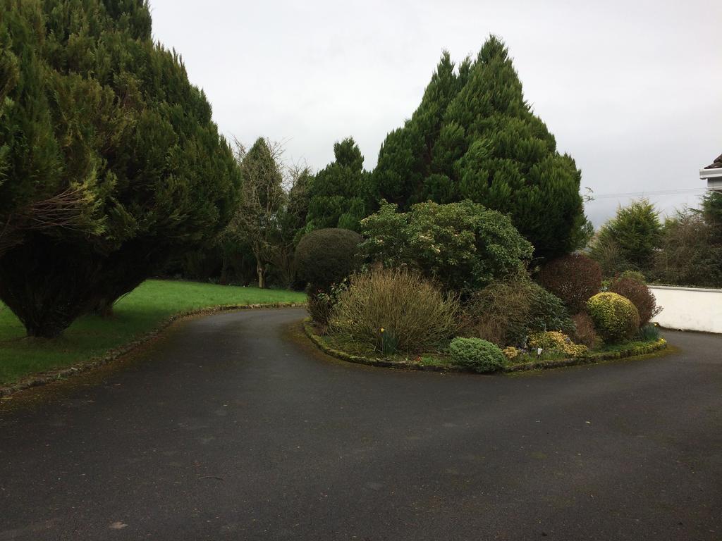 Palm Grove B&B Cashel (Tipperary) Esterno foto