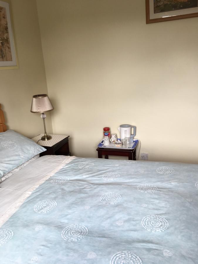 Palm Grove B&B Cashel (Tipperary) Esterno foto